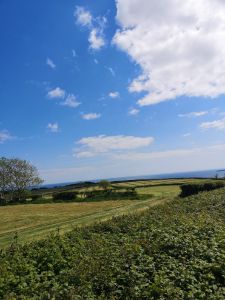 Picture of Lodge Farm Holiday Park