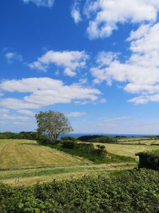 Picture of Lodge Farm Holiday Park