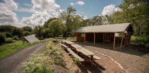 Picture of Dragonfly Woodland Camping