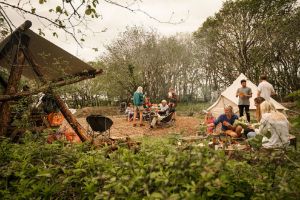 Picture of Dragonfly Woodland Camping