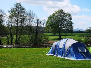 Picture of Bryndu Caravan & Camping