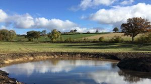 Picture of Bryndu Caravan & Camping