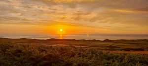 Picture of Hillfort Camping & Yurts